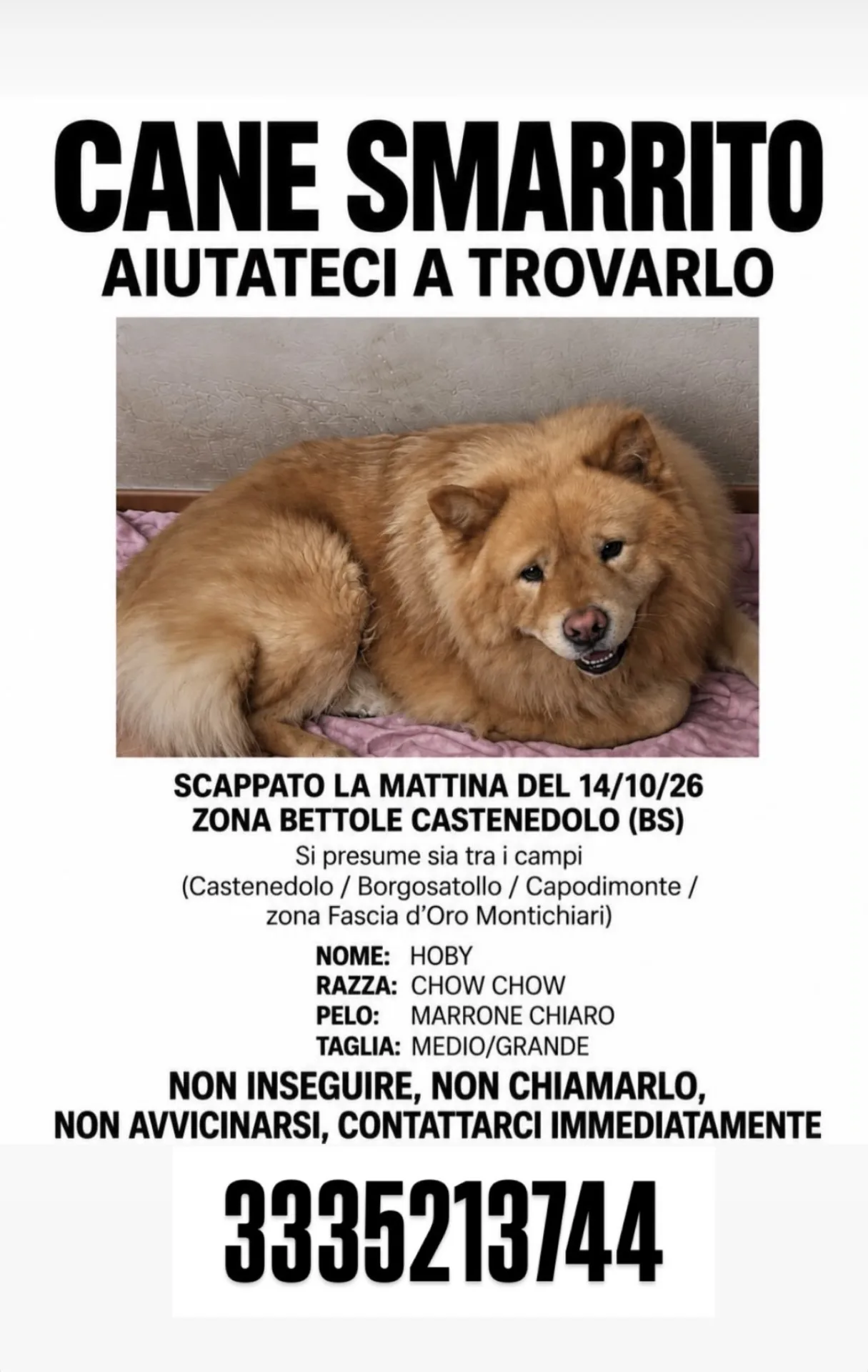 Immagine della segnalazione